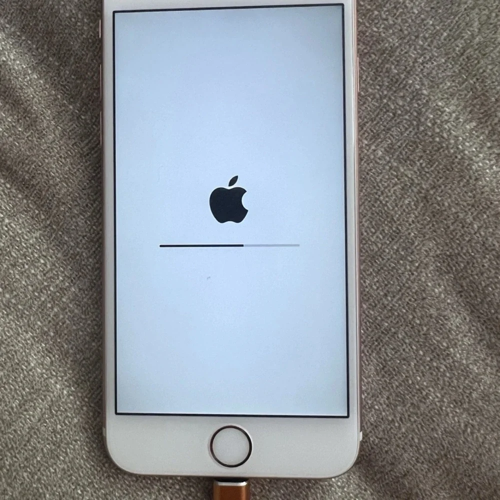 iPhone 6S Model
